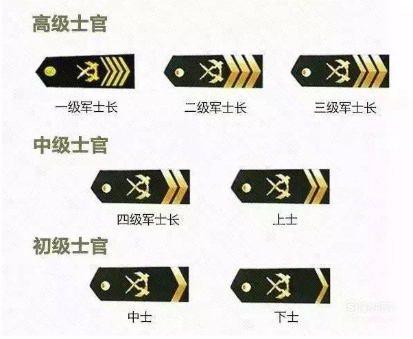 四级军士长是什么级别?