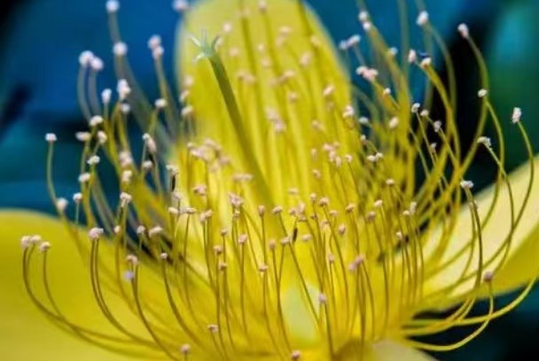 rui拼音的所有汉字