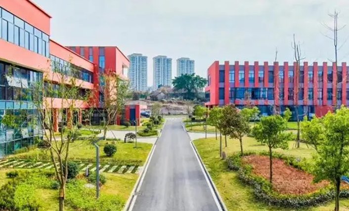 四川有哪些专科学院