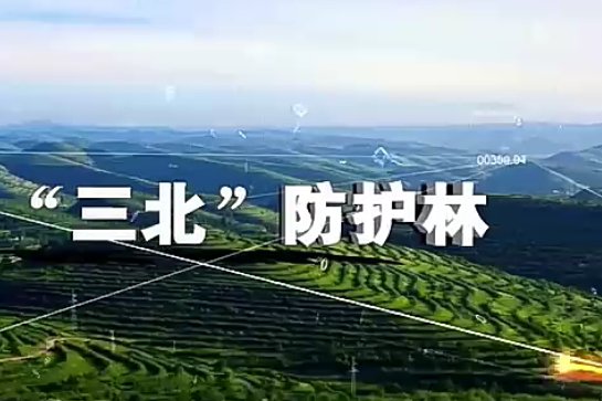 三北是指哪三北