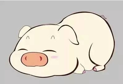 猪的四大梦想是什么梦想吗？