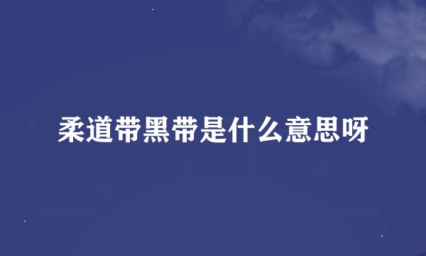 柔道带黑带是什么意思呀