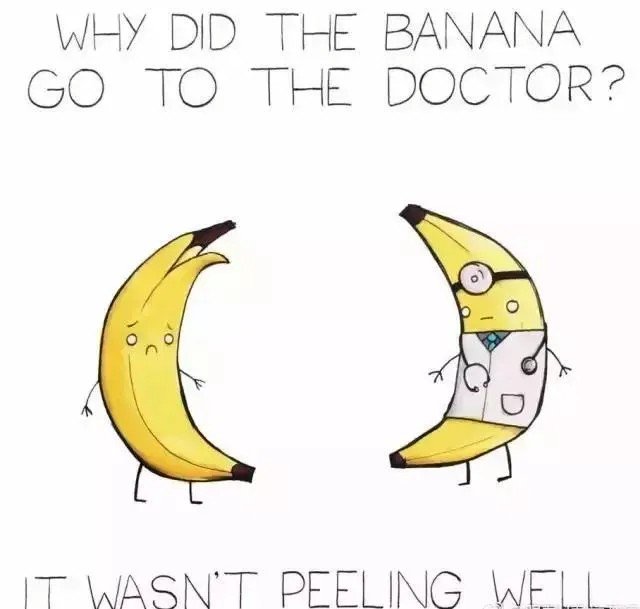 pun是什么意思中文