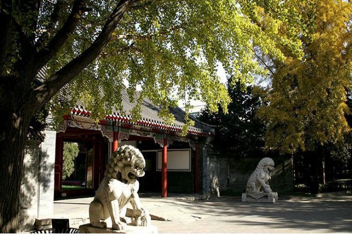 清华大学法律硕士非法学复试分数线