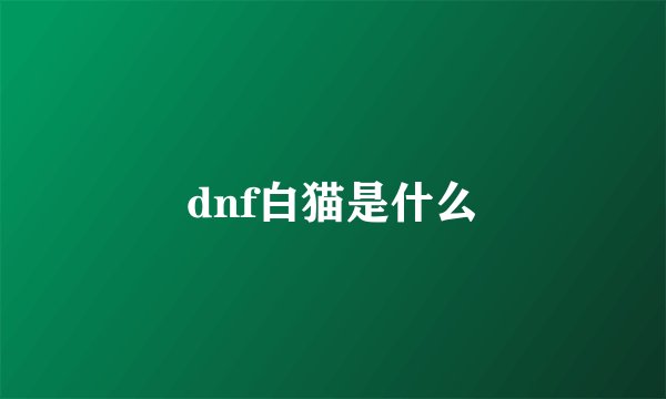 dnf白猫是什么