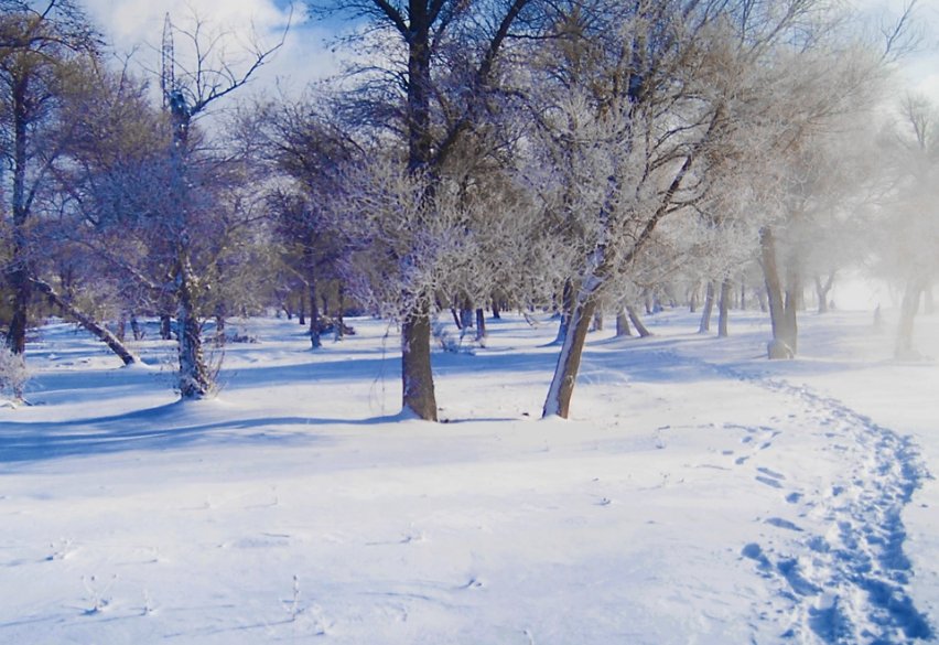 寒风凛冽的拼音