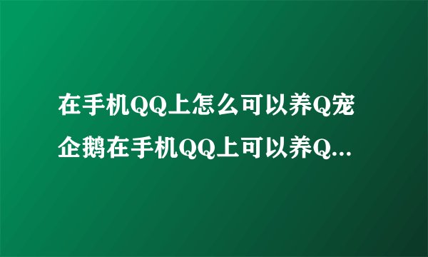 在手机QQ上怎么可以养Q宠企鹅在手机QQ上可以养Q宠企鹅的方法