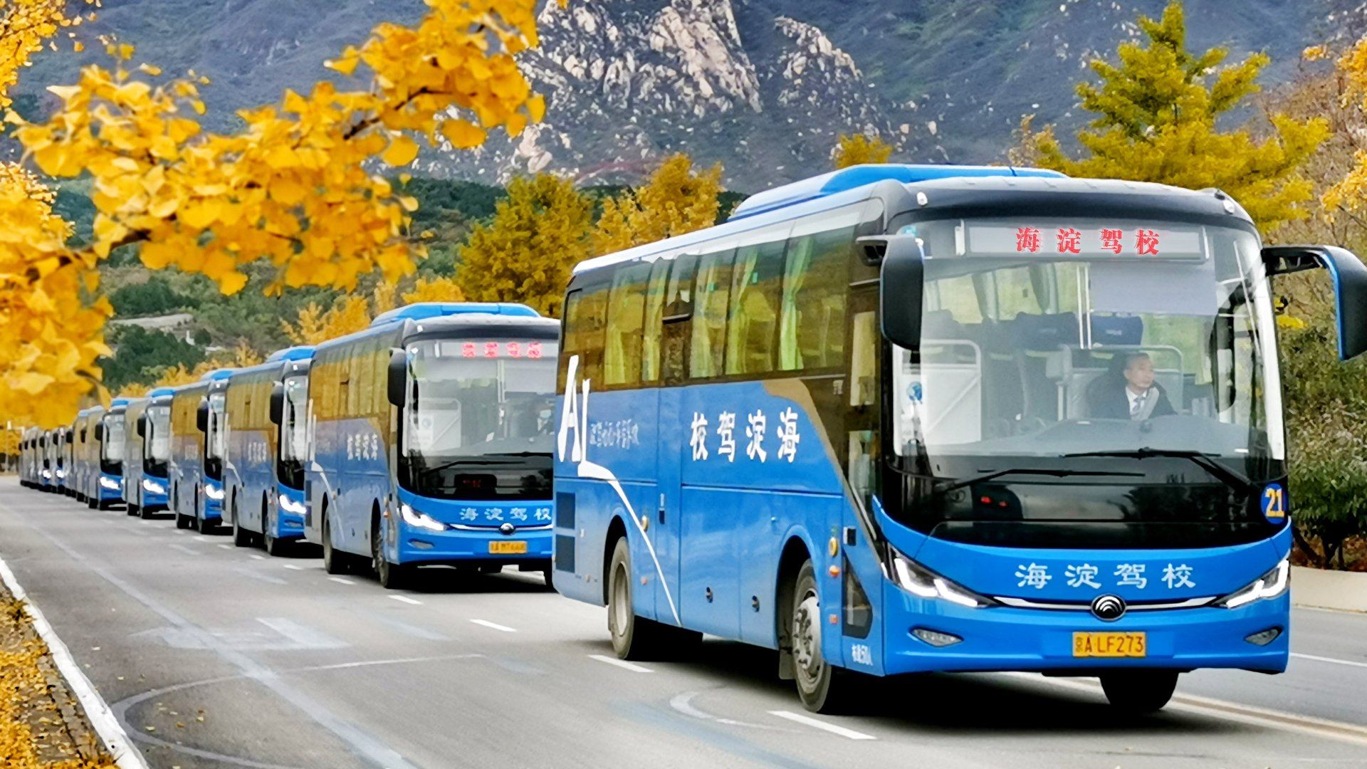 东方时尚驾校学车多少钱？