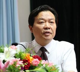 张雷涛的工作经历