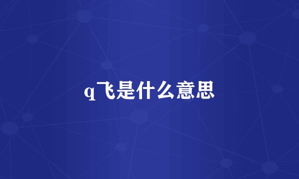 q飞是什么意思