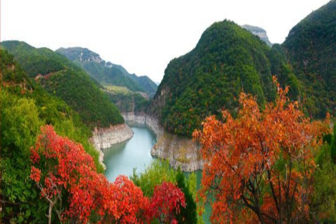 绛县教育局电话