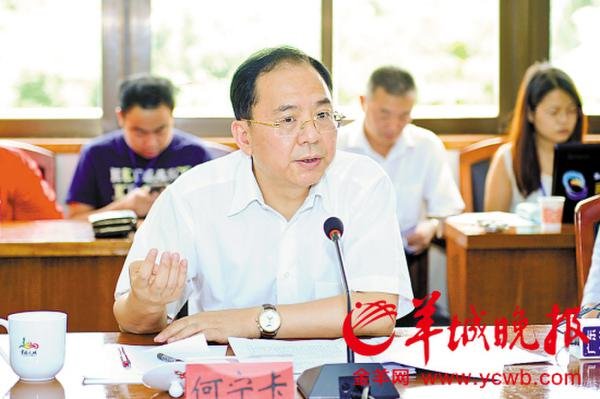 何宁卡的人物履历