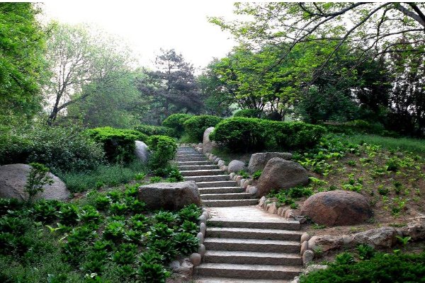 曲径通幽处，禅房花木深是什么意思?