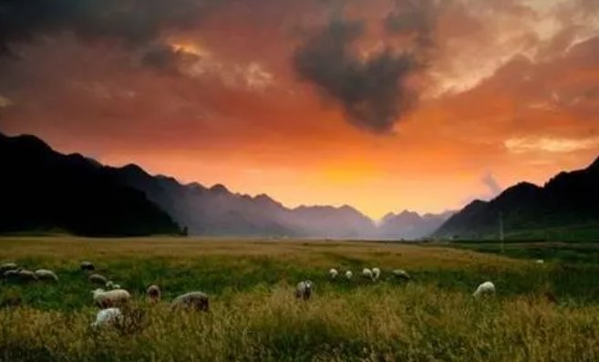 我在这的英语是什么？