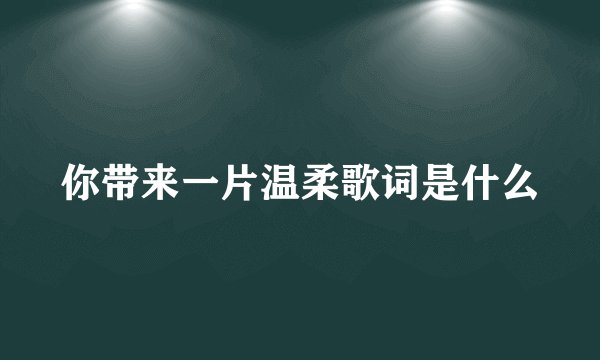 你带来一片温柔歌词是什么