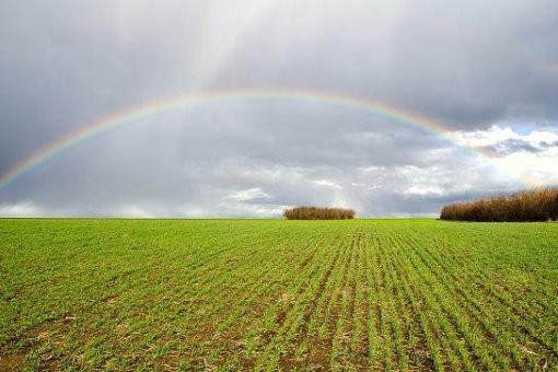 繁华过后终平淡什么意思？