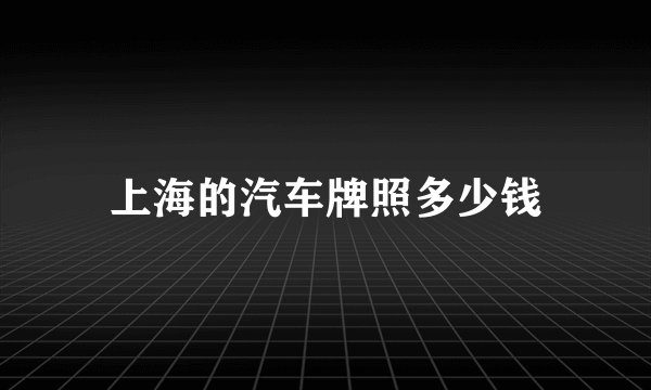 上海的汽车牌照多少钱