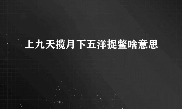 上九天揽月下五洋捉鳖啥意思