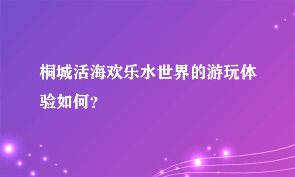 桐城活海欢乐水世界的游玩体验如何？