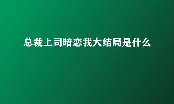 总裁上司暗恋我大结局是什么