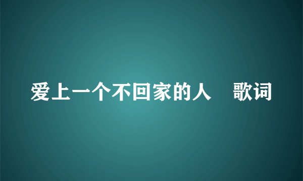 爱上一个不回家的人 歌词