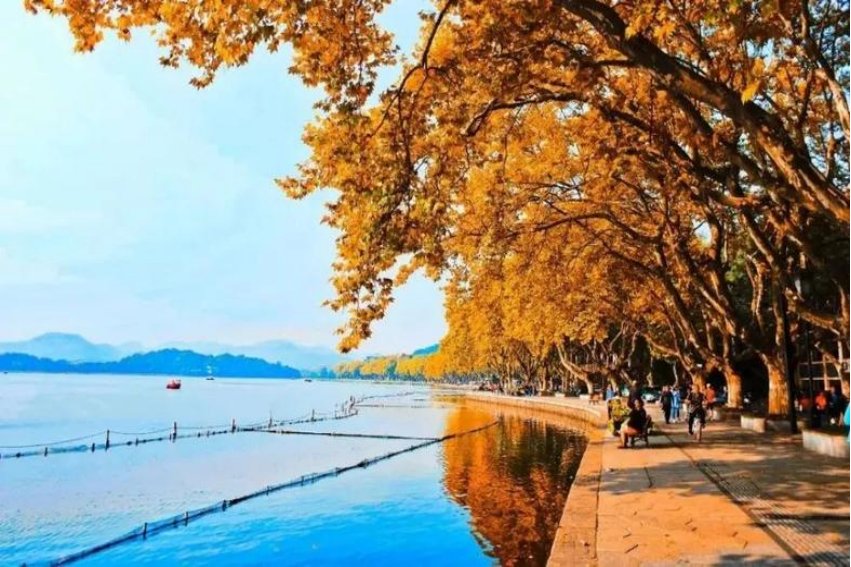 三秋桂子指的是哪三秋