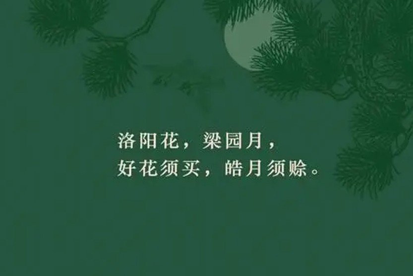 洛阳花梁园月 里的洛阳花指什么花
