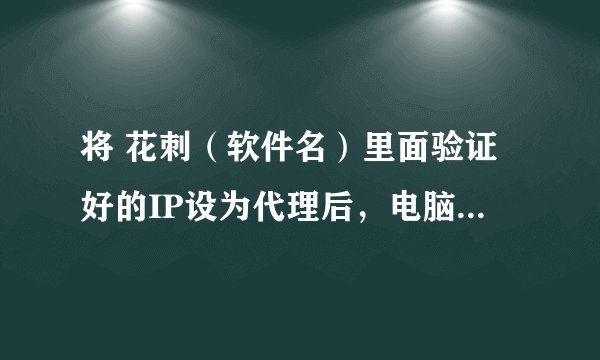 将 花刺（软件名）里面验证好的IP设为代理后，电脑的浏览器就打不开网页了怎么办？