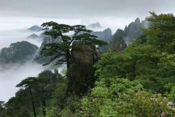 乱云飞渡仍从容的上一句