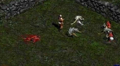 暗黑2鸟甲什么意思