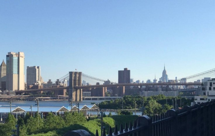 brooklyn是什么意思