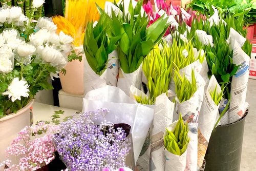 大连花卉市场批发市场