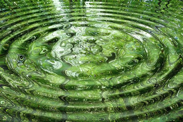 涟漪是什么意思