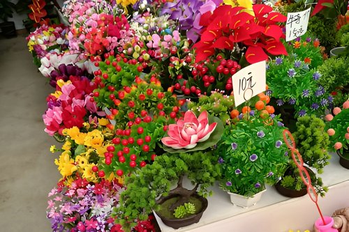 大连花卉市场批发市场