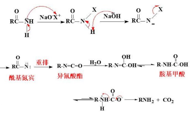 霍夫曼途径降解