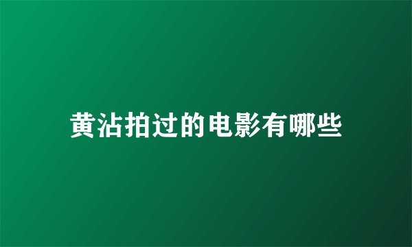 黄沾拍过的电影有哪些