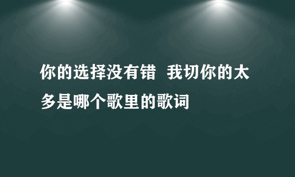 你的选择没有错  我切你的太多是哪个歌里的歌词