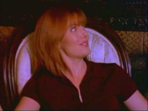 女佣的秘密的介绍