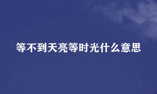 等不到天亮等时光什么意思