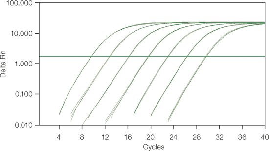 数量级是什么？