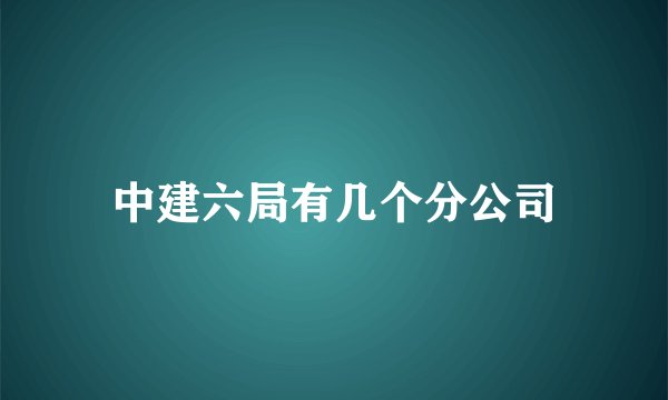 中建六局有几个分公司
