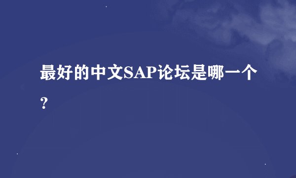 最好的中文SAP论坛是哪一个？
