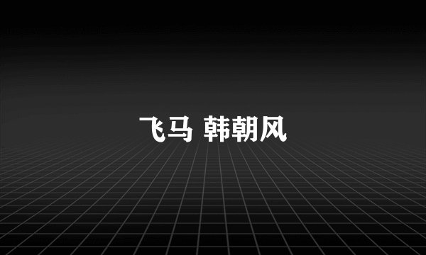 飞马 韩朝风