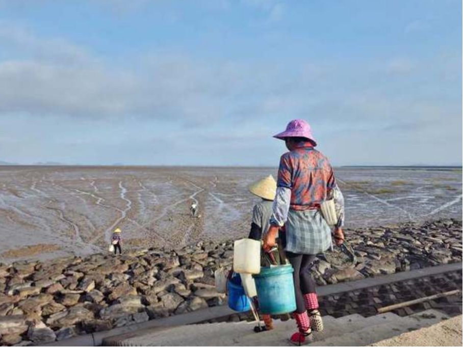 日照赶海时间表，2023日照退潮赶海时间表？