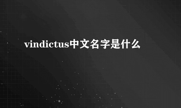 vindictus中文名字是什么