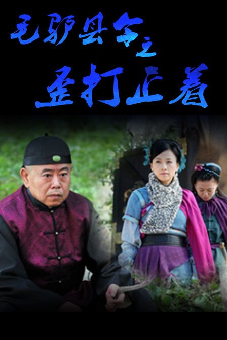 毛驴县令之歪打正着的介绍