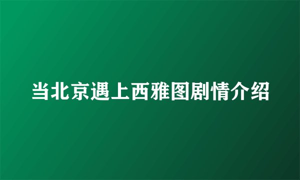 当北京遇上西雅图剧情介绍