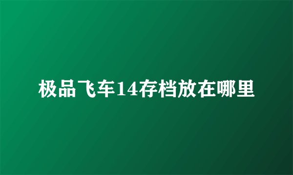 极品飞车14存档放在哪里
