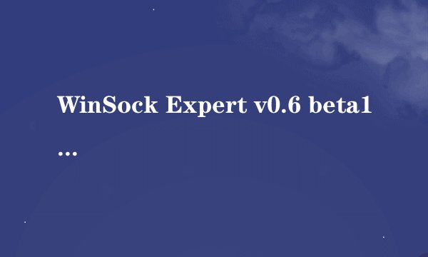 WinSock Expert v0.6 beta1汉化版怎么用?