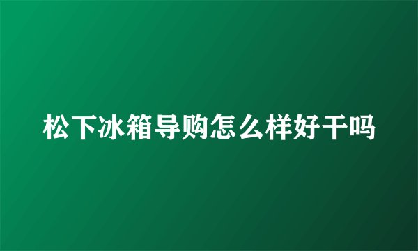 松下冰箱导购怎么样好干吗